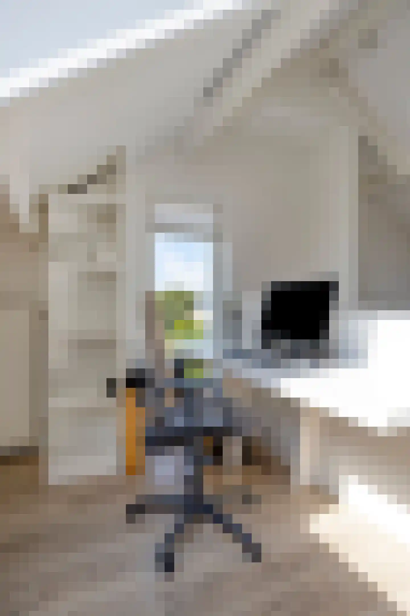 Molenstraat 85 Valkenswaard thumbnail 25
