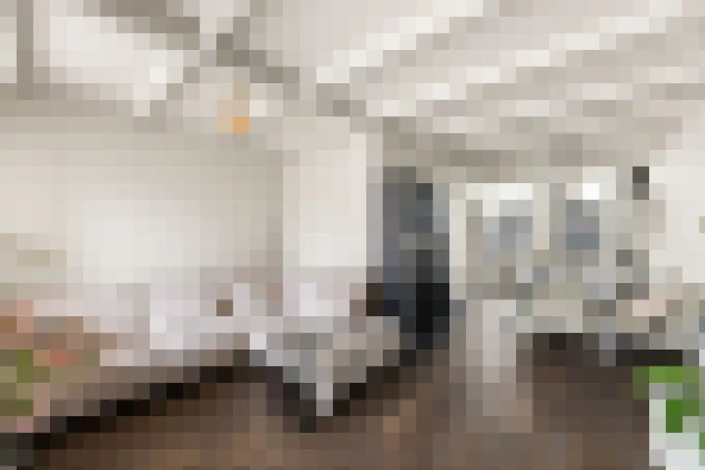 Molenstraat 87 Vlissingen thumbnail 6