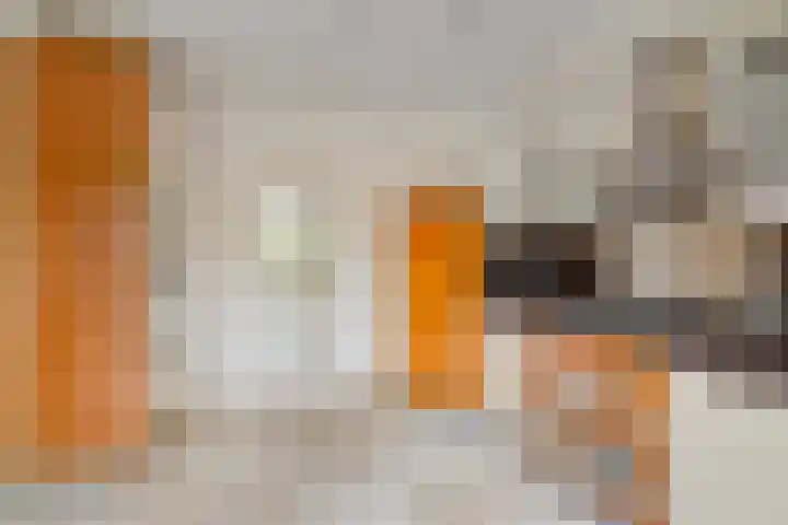 Molenstraat 88 Prinsenbeek thumbnail 15