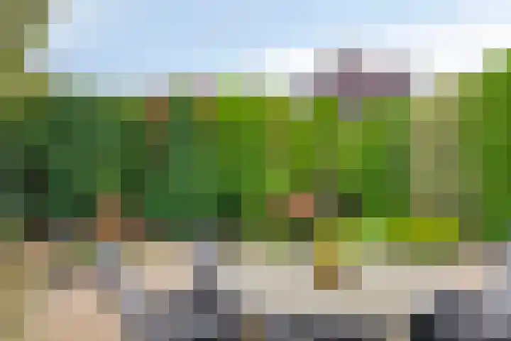 Molenstraat 88 Prinsenbeek thumbnail 25