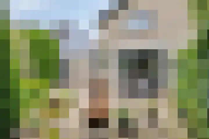 Molenstraat 88 Prinsenbeek thumbnail 26