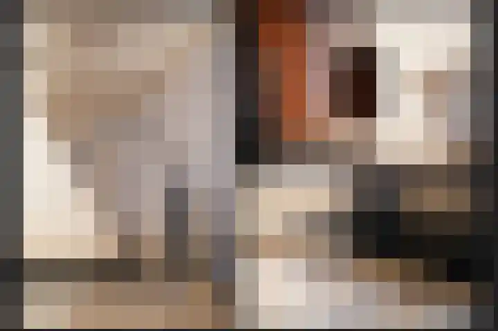 Molenstraat 9 b Kerkdriel thumbnail 13