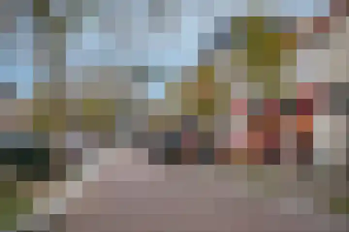 Molenstraat 9 b Kerkdriel thumbnail 33