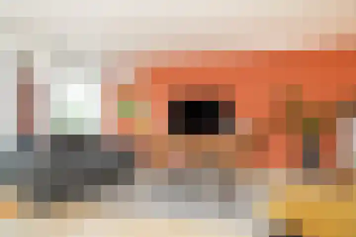 Molenstraat 9 b Kerkdriel thumbnail 6