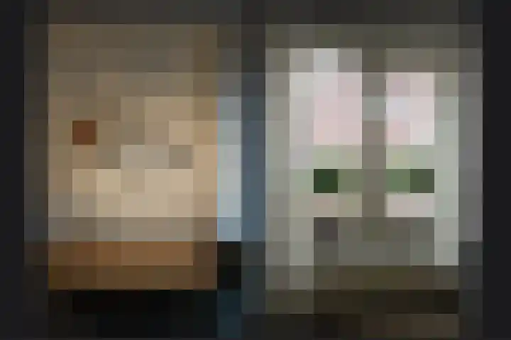 Molenstraat 9 b Kerkdriel thumbnail 7