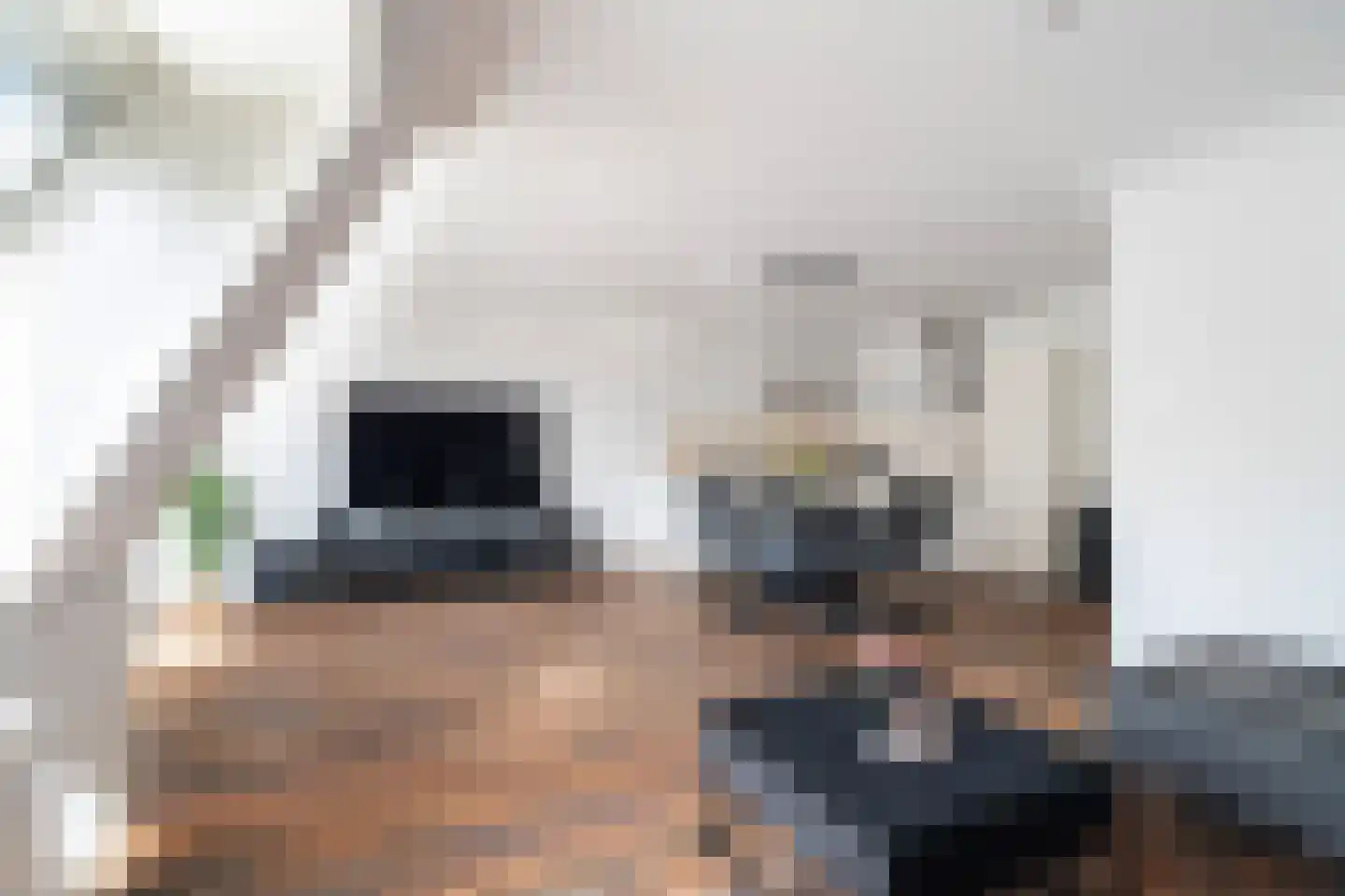 Molenstraat 9 B Monster thumbnail 13