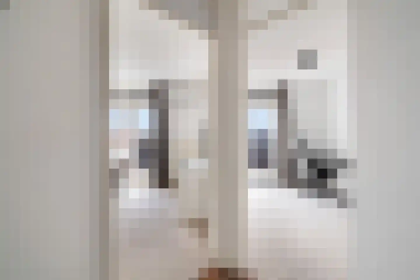 Molenstraat 9 B Monster thumbnail 26