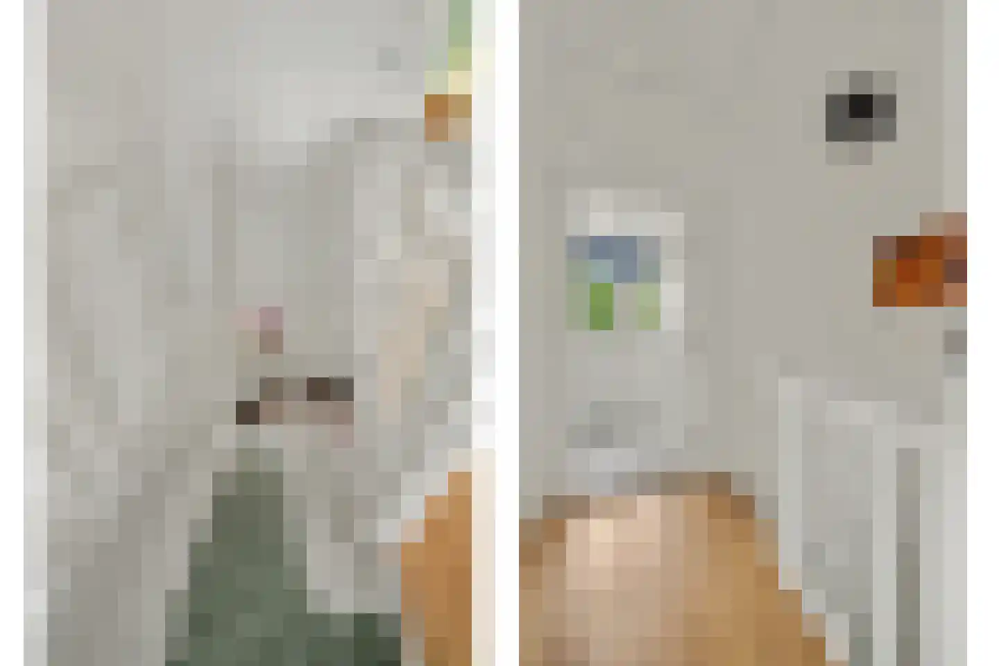 Molenstraat 9 Helvoirt thumbnail 18