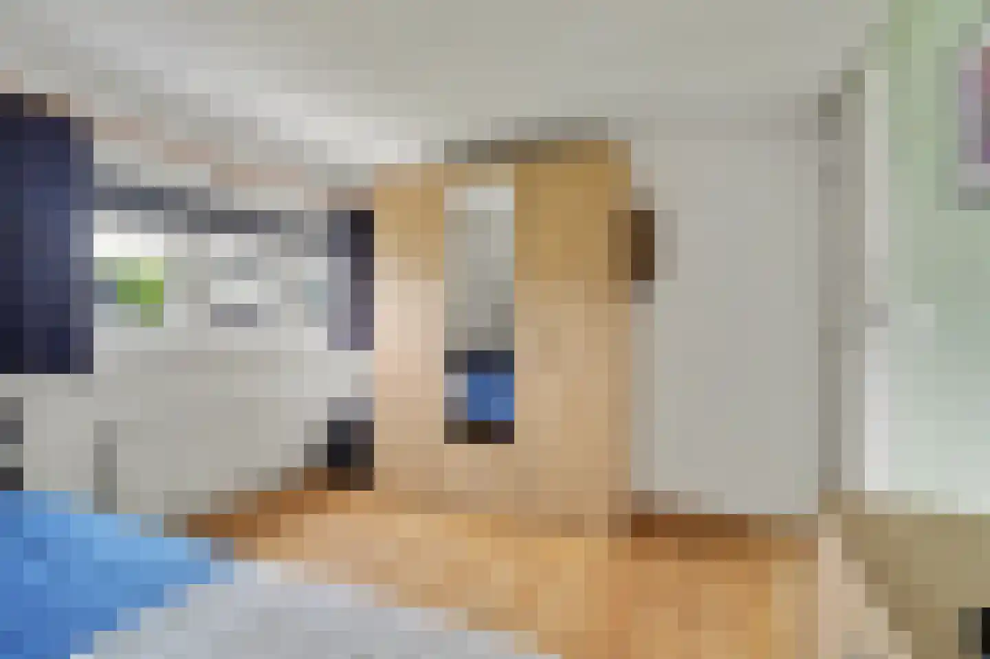 Molenstraat 9 Helvoirt thumbnail 20