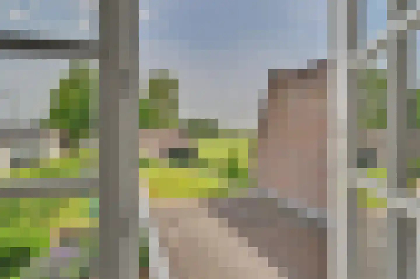 Molenstraat 9 Helvoirt thumbnail 24