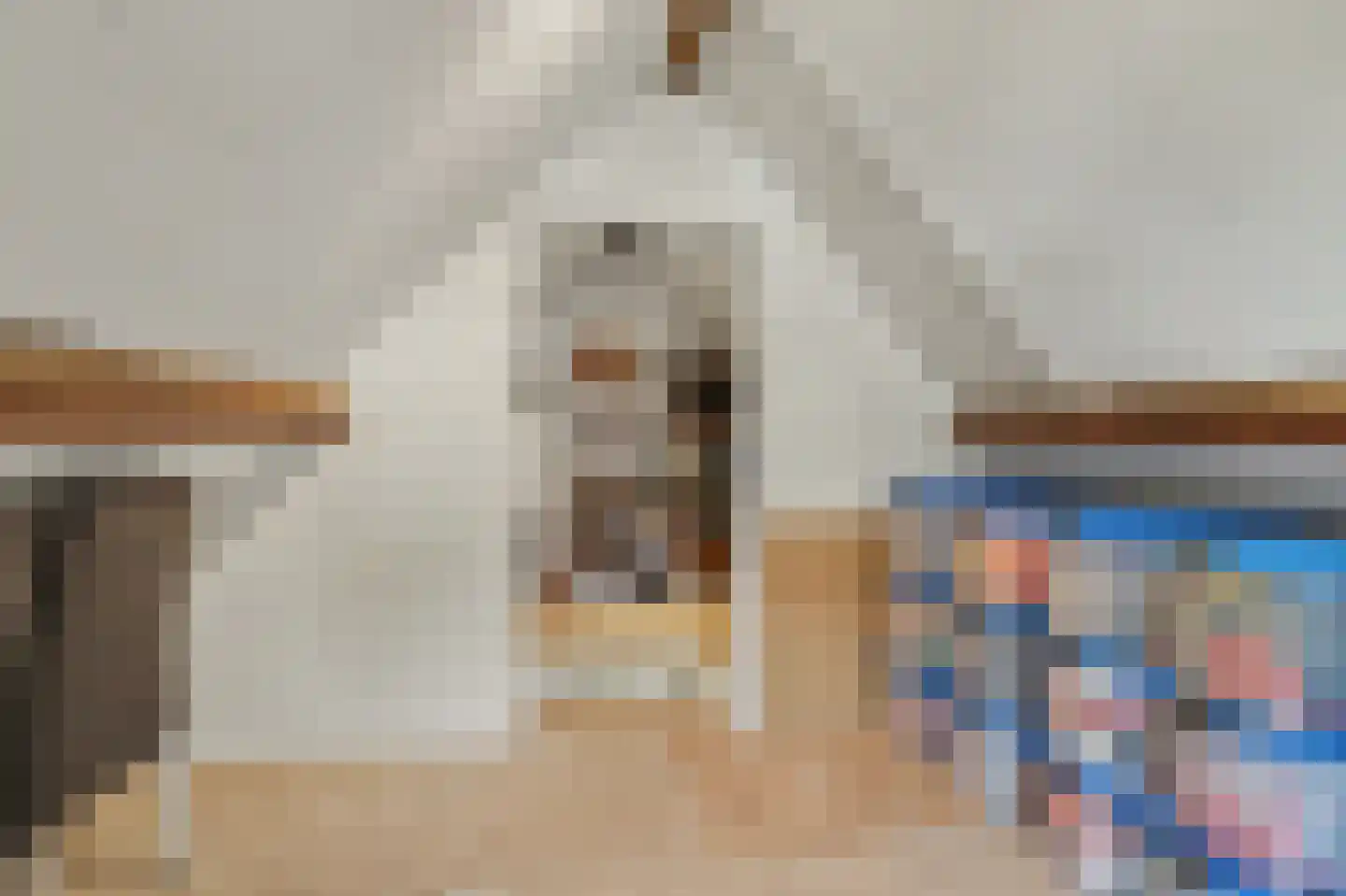 Molenstraat 9 Helvoirt thumbnail 31