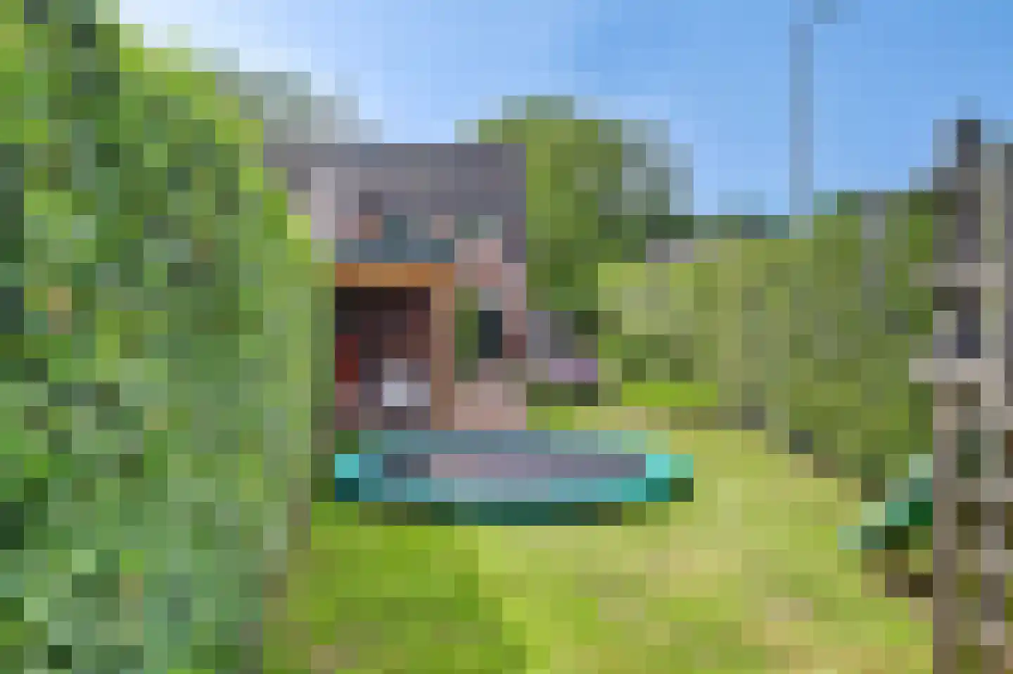 Molenstraat 9 Helvoirt thumbnail 36