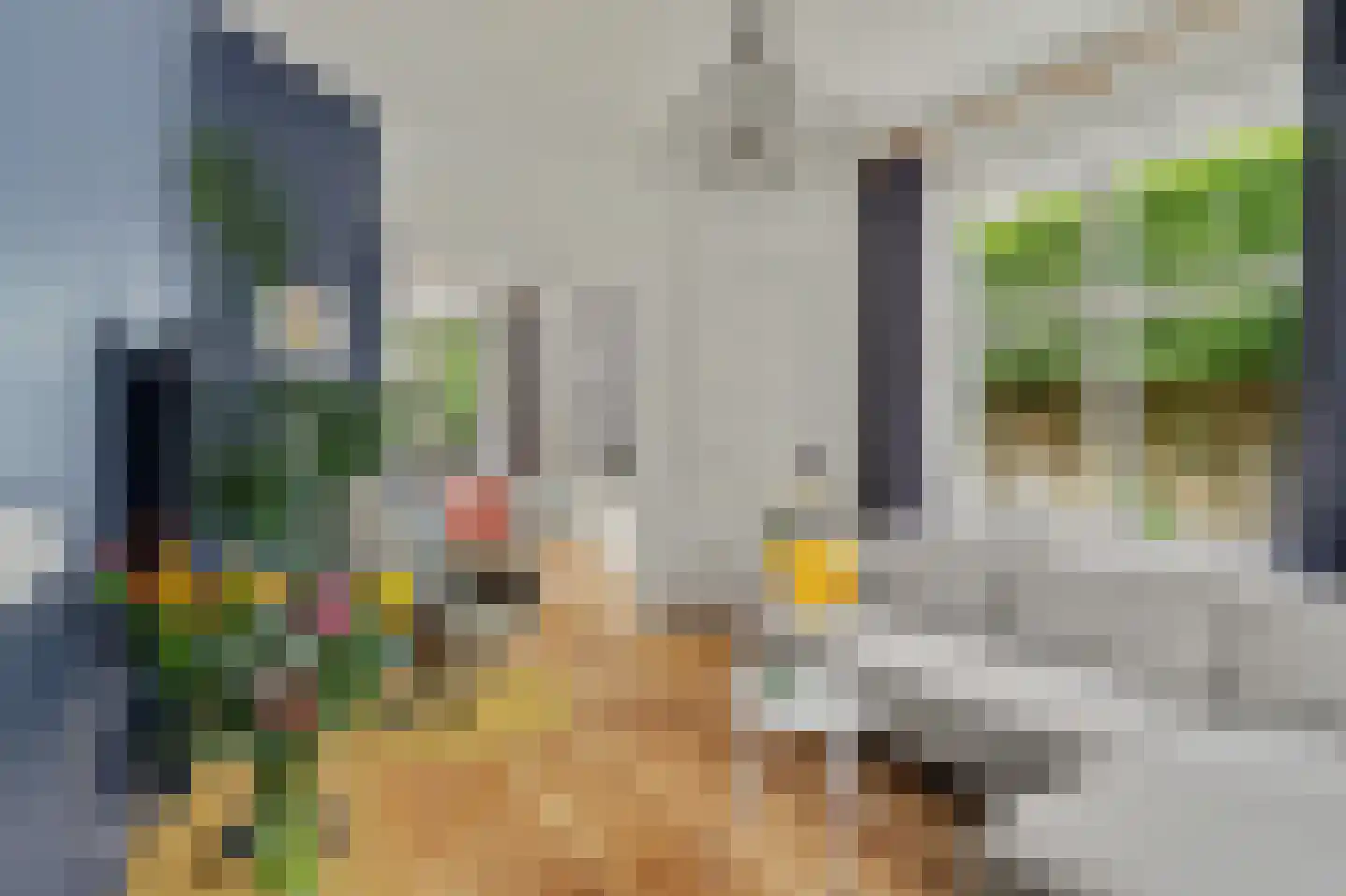 Molenstraat 9 Helvoirt thumbnail 6