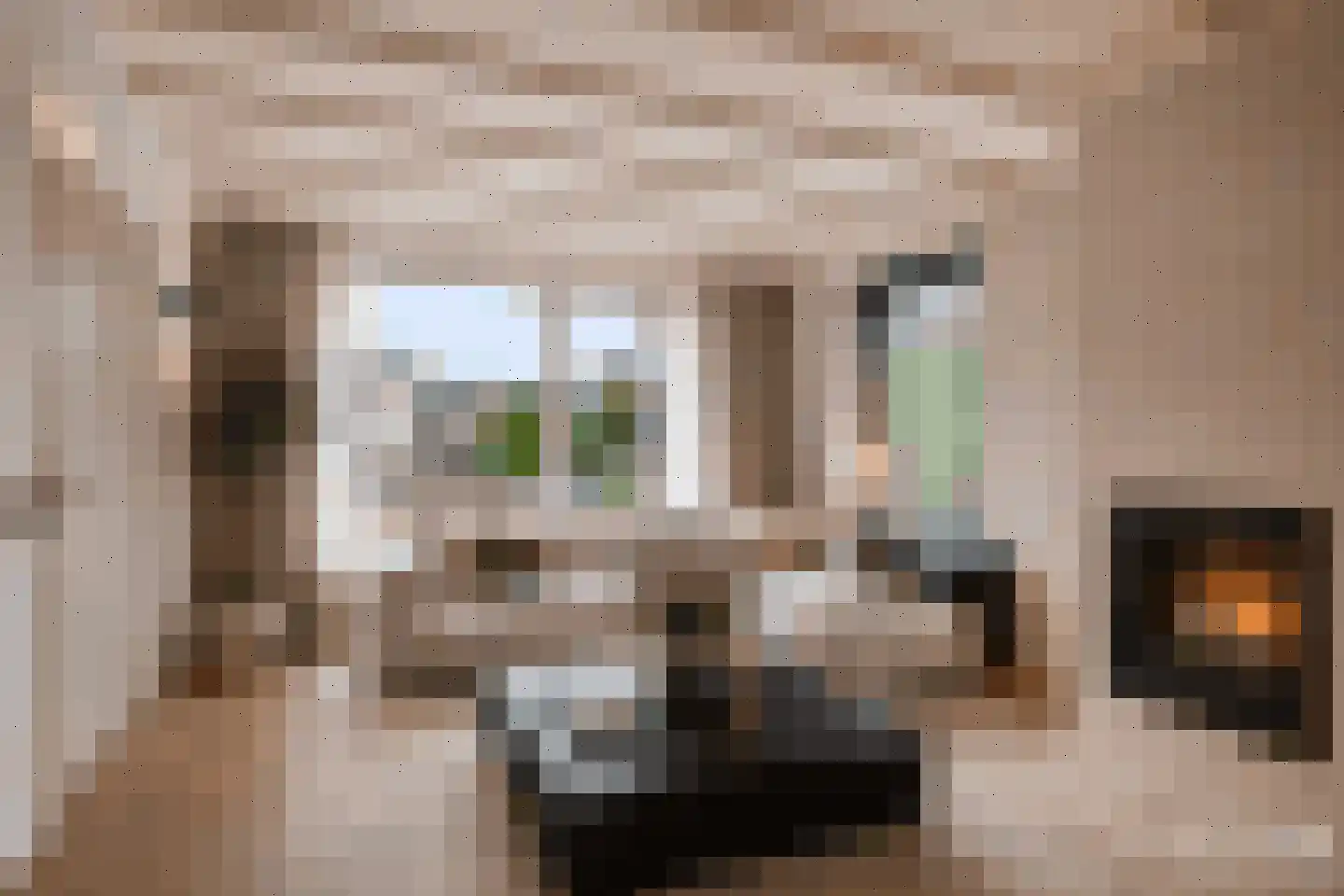 Molenstraat 9 Lith thumbnail 12