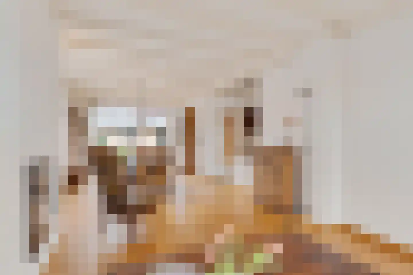 Molenstraat 9 Lith thumbnail 15