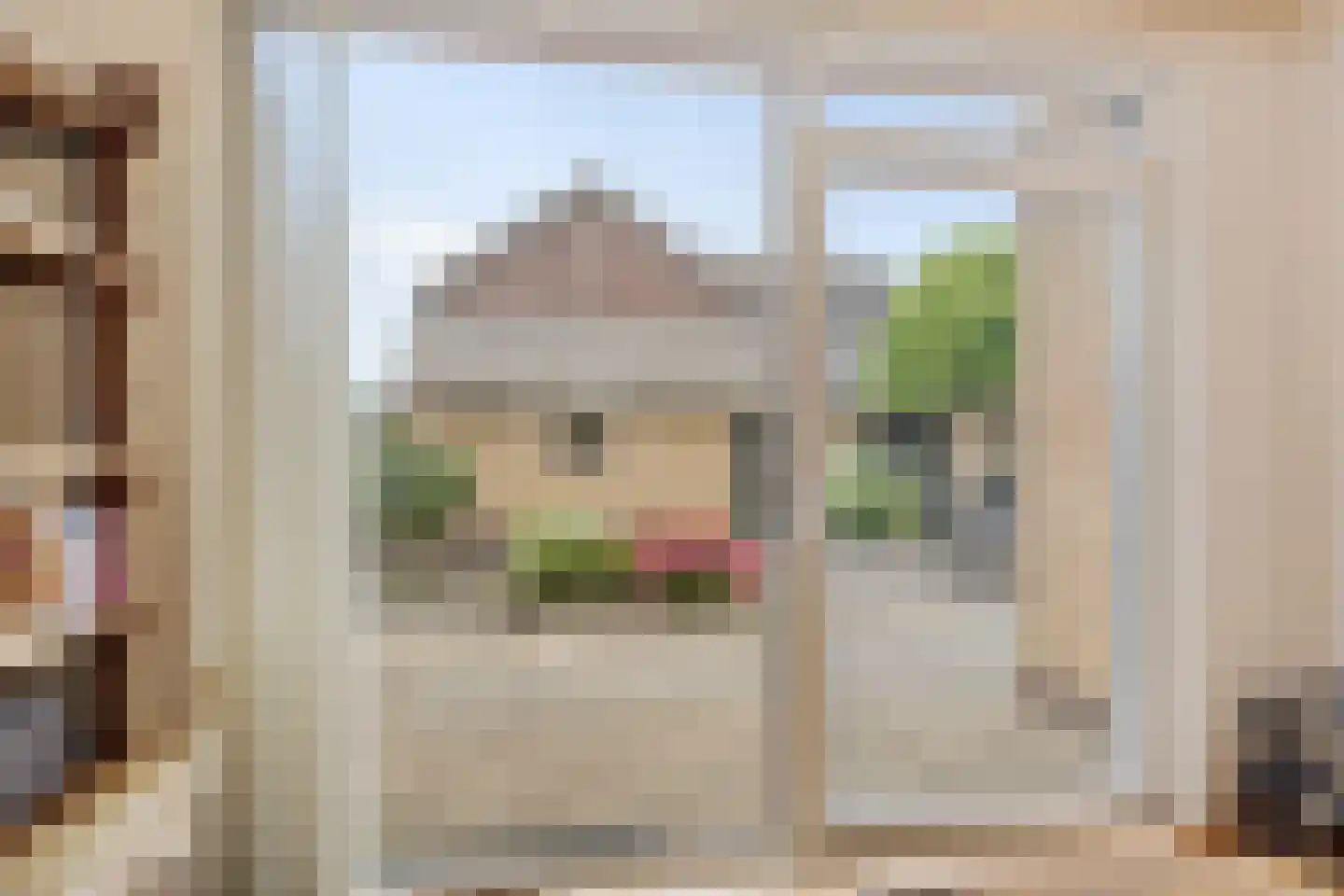 Molenstraat 9 Lith thumbnail 17