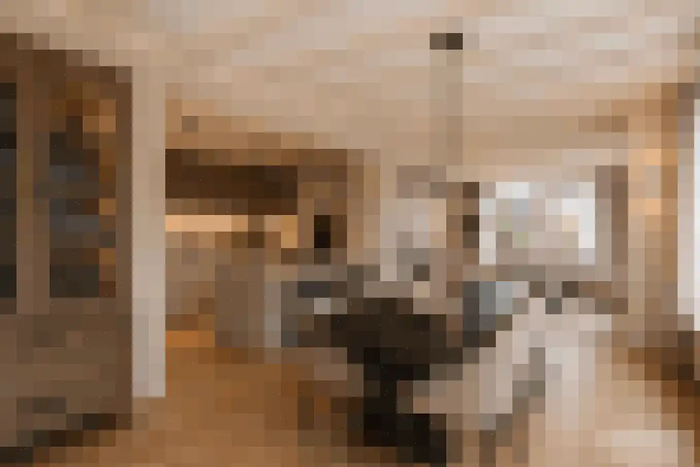 Molenstraat 9 Lith thumbnail 19