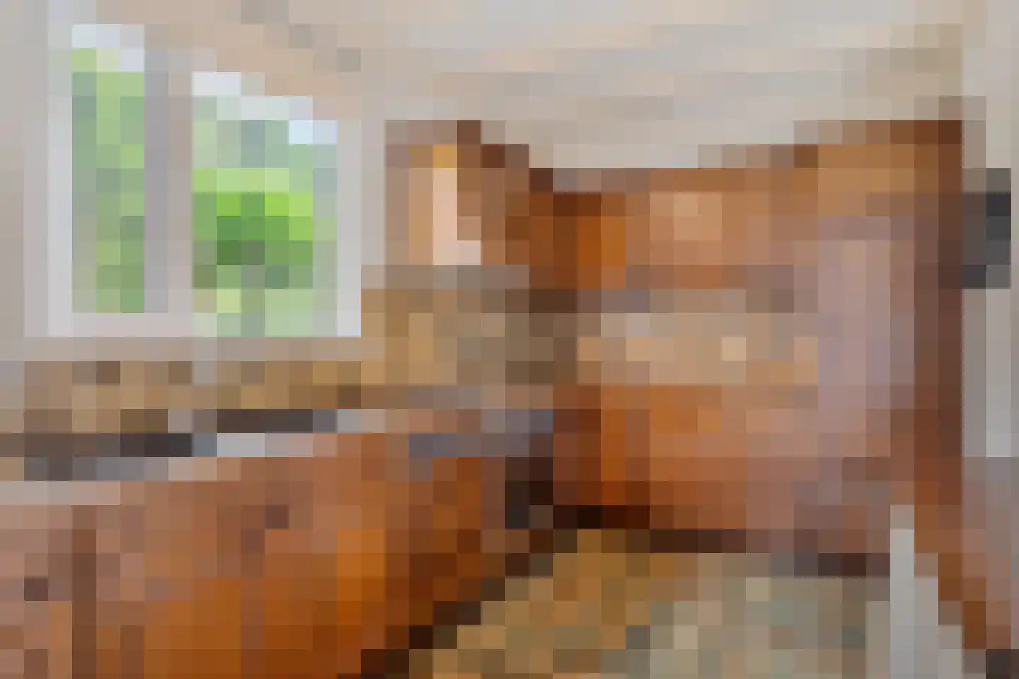 Molenstraat 9 Lith thumbnail 21