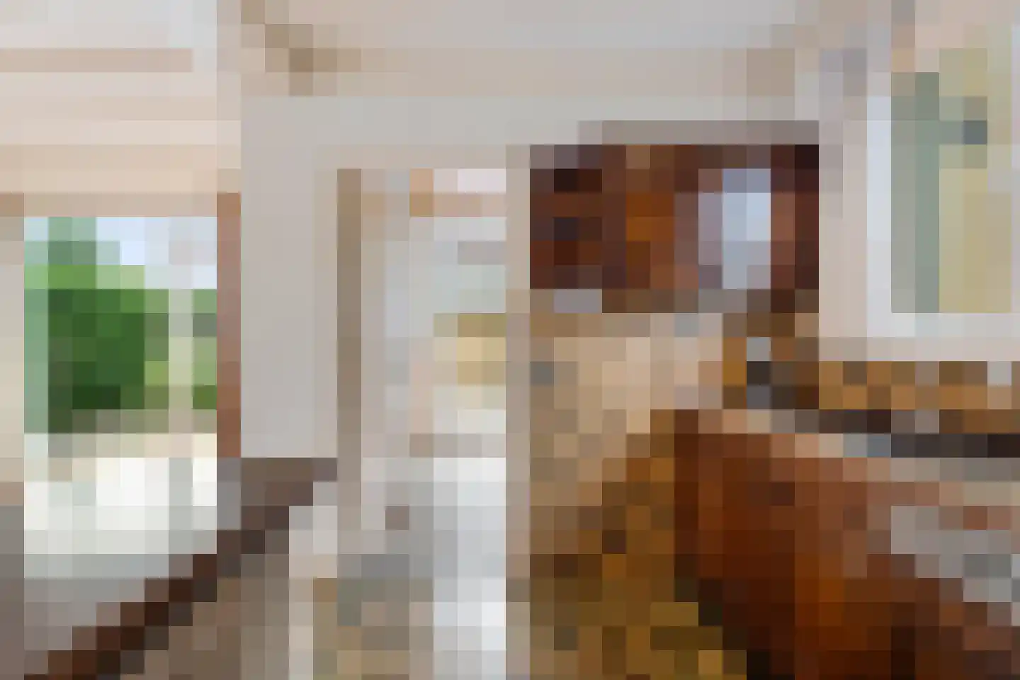 Molenstraat 9 Lith thumbnail 22