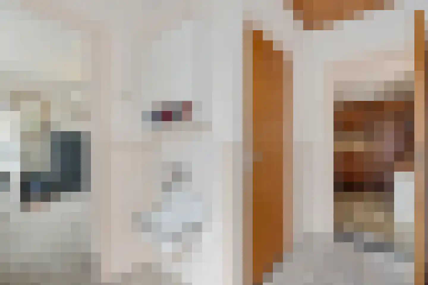 Molenstraat 9 Lith thumbnail 23