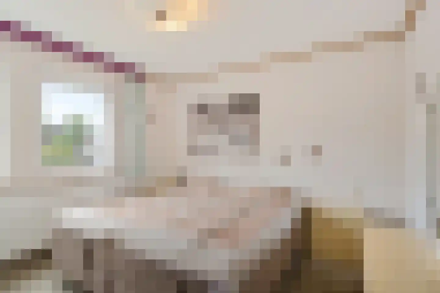 Molenstraat 9 Lith thumbnail 31