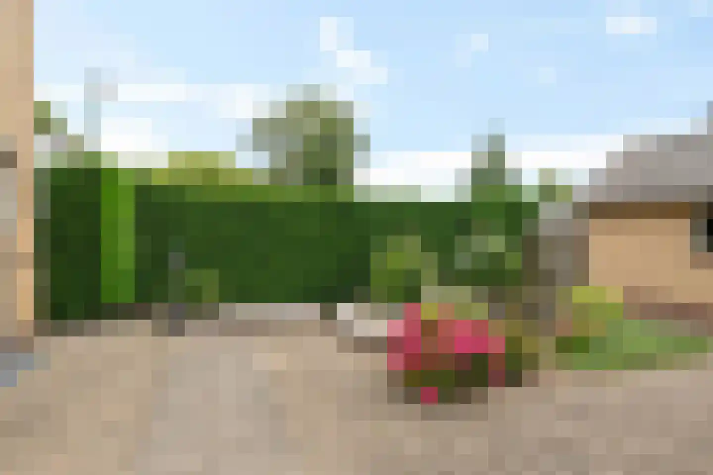 Molenstraat 9 Lith thumbnail 43