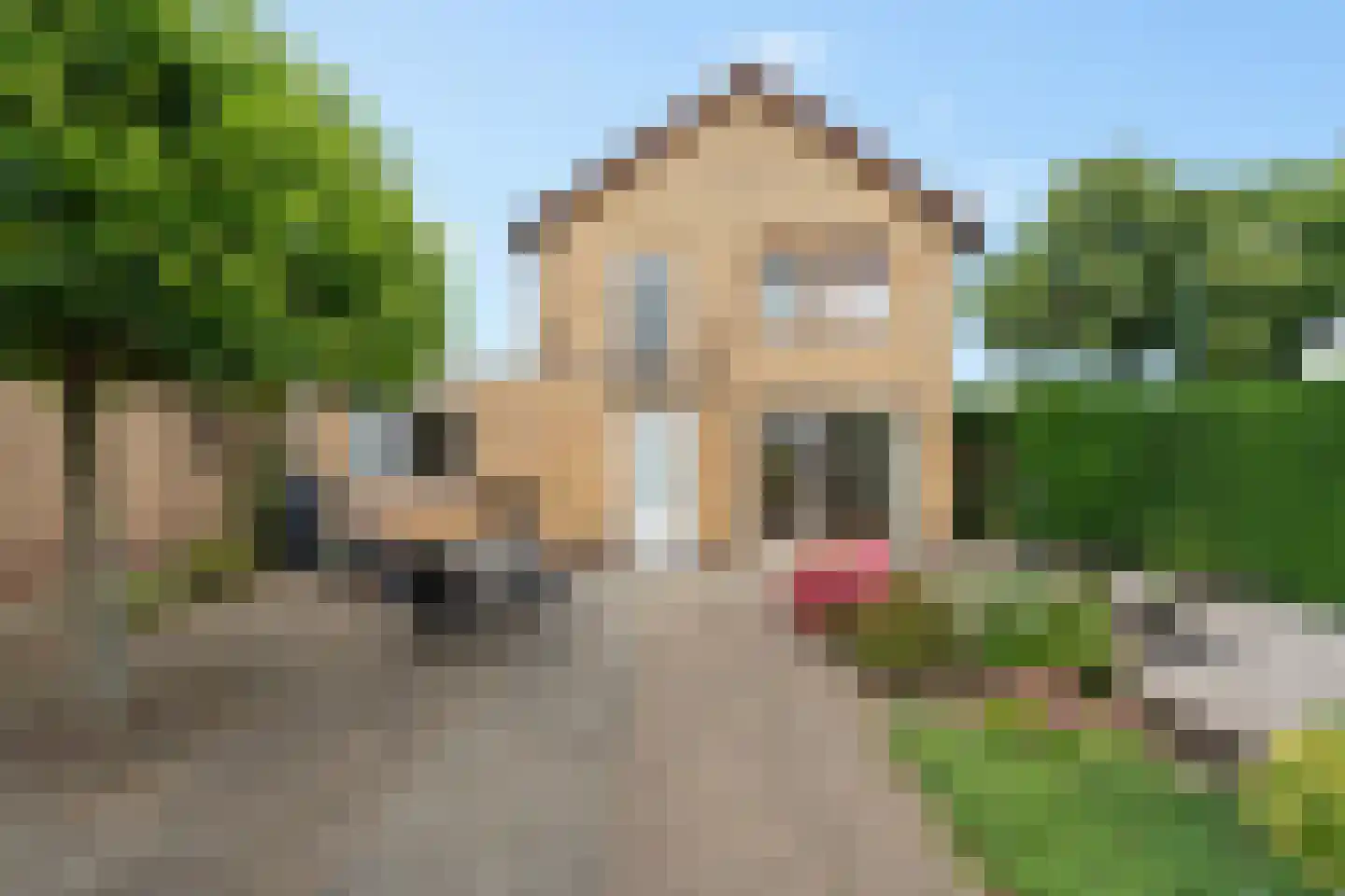 Molenstraat 9 Lith thumbnail 45