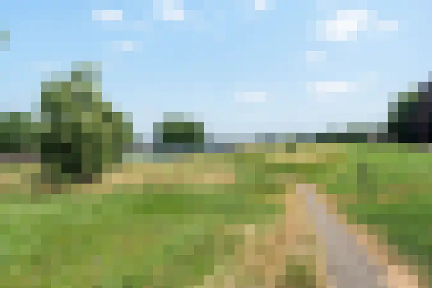 Molenstraat 9 Lith thumbnail 51