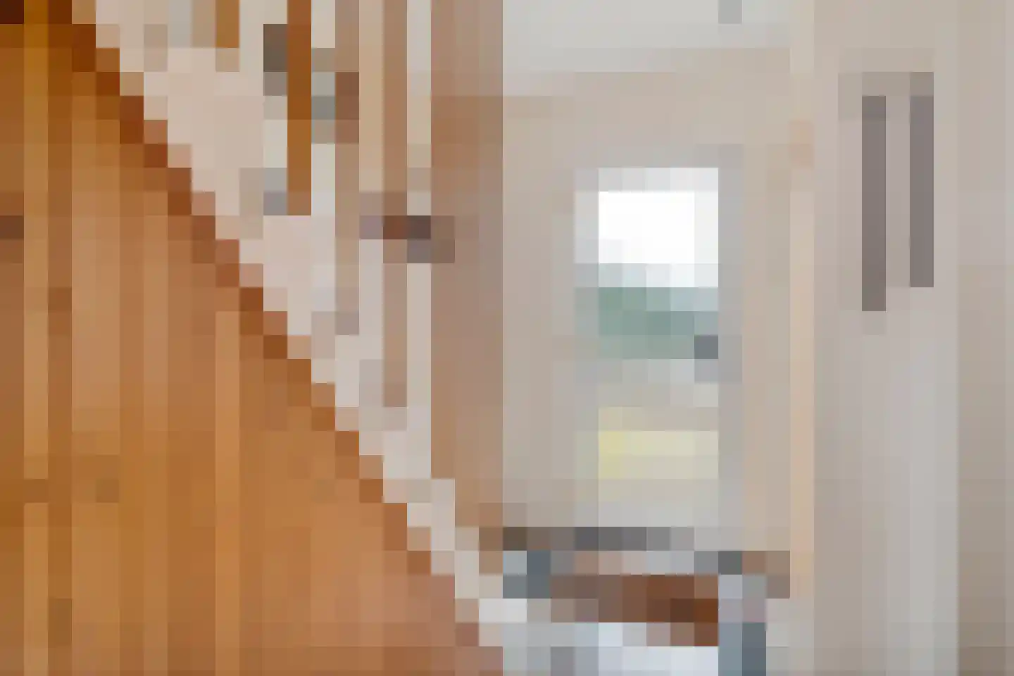 Molenstraat 9 Lith thumbnail 8