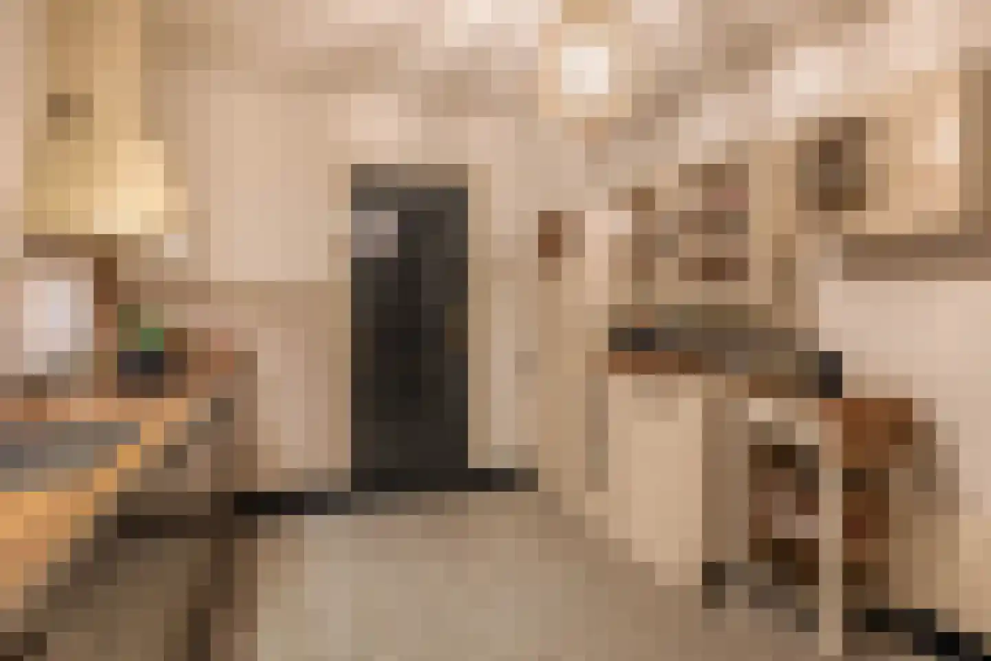Molenstraat 9 Schijndel thumbnail 10
