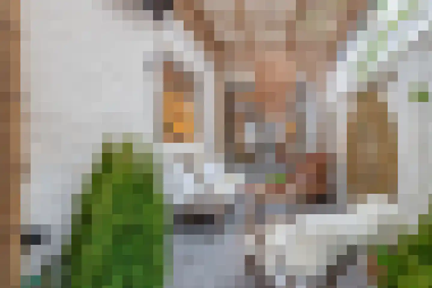 Molenstraat 9 Schijndel thumbnail 18