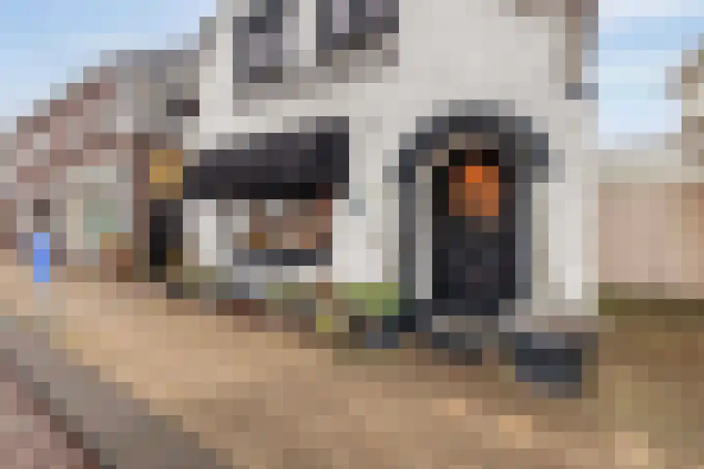 Molenstraat 9 Schijndel thumbnail 30
