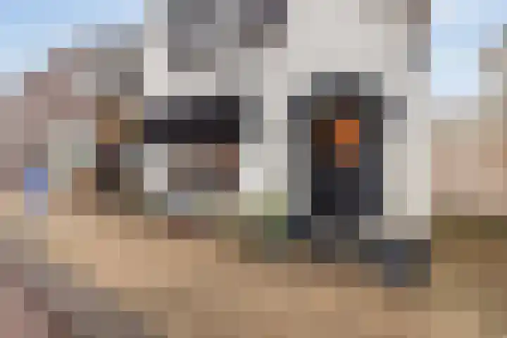 Molenstraat 9 Schijndel thumbnail 30