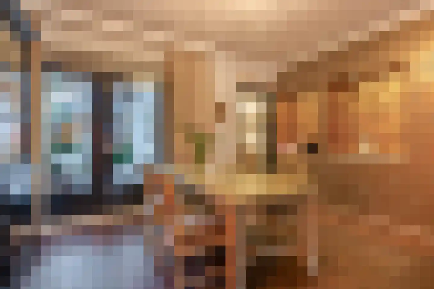 Molenstraat 9 Schijndel thumbnail 7