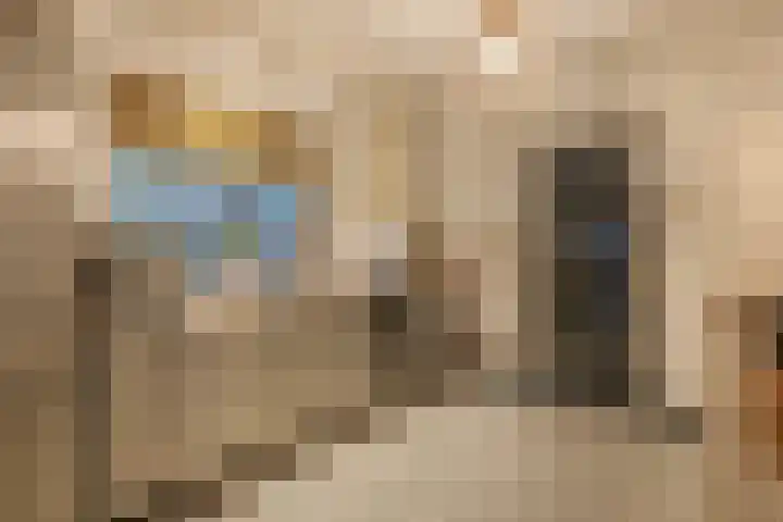 Molenstraat 9 Schijndel thumbnail 8
