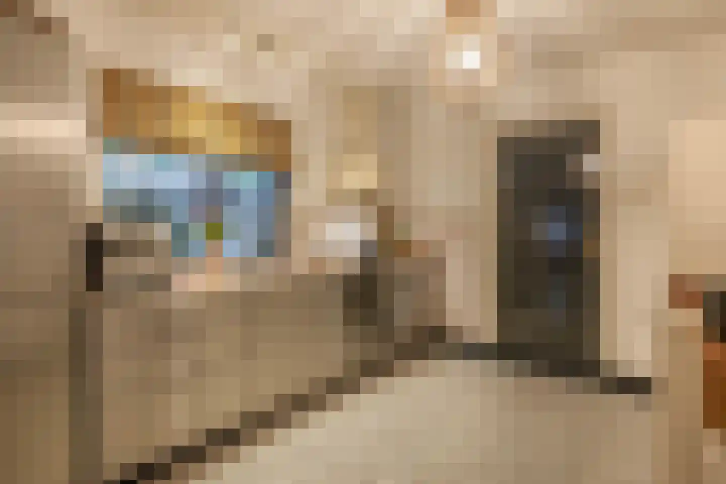 Molenstraat 9 Schijndel thumbnail 8