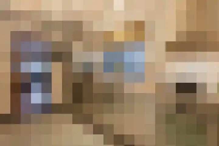 Molenstraat 9 Schijndel thumbnail 9