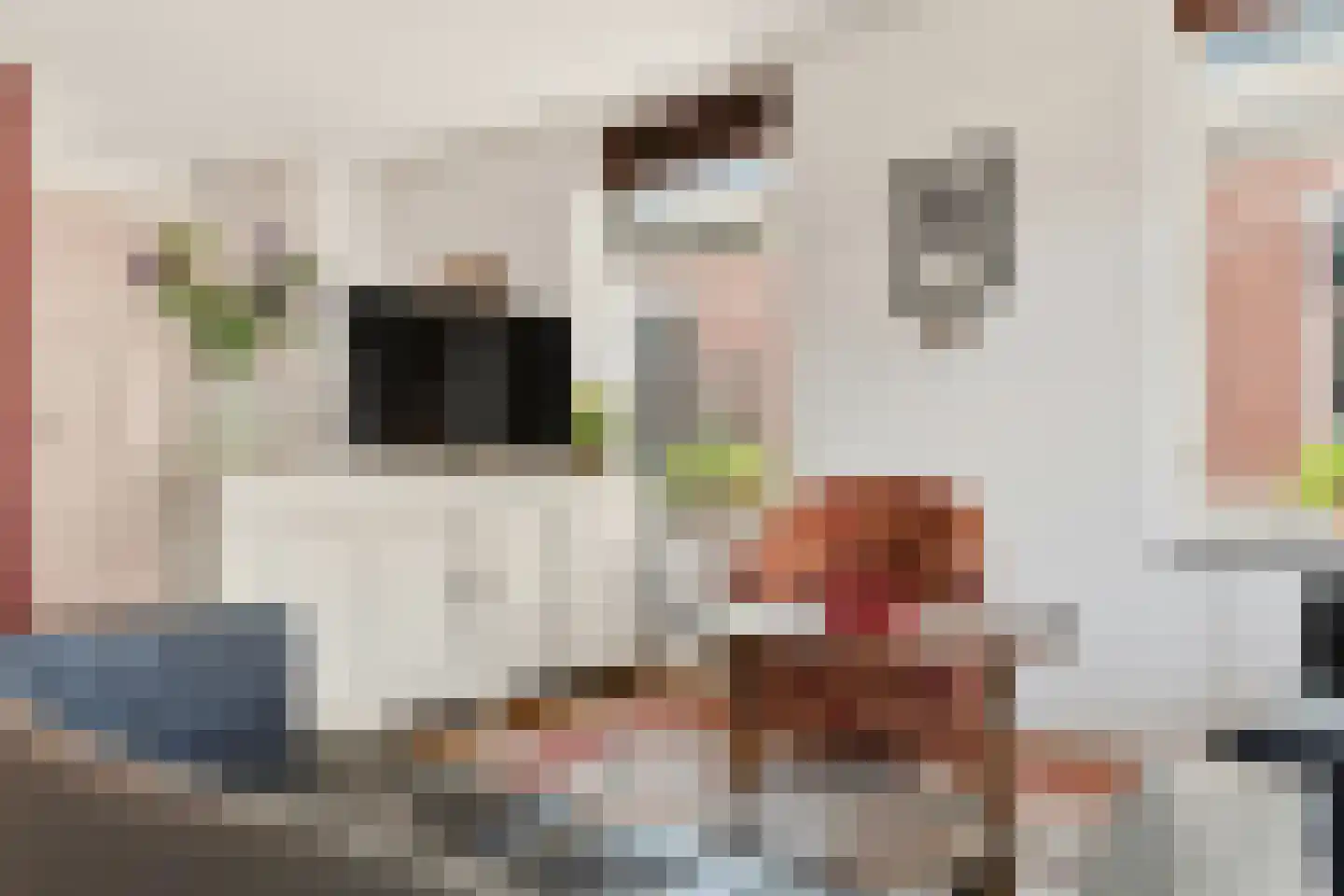 Molenstraat 9 Stedum thumbnail 10