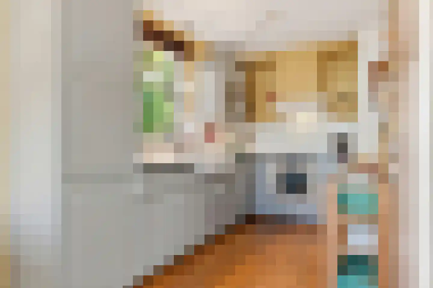 Molenstraat 9 Stedum thumbnail 14