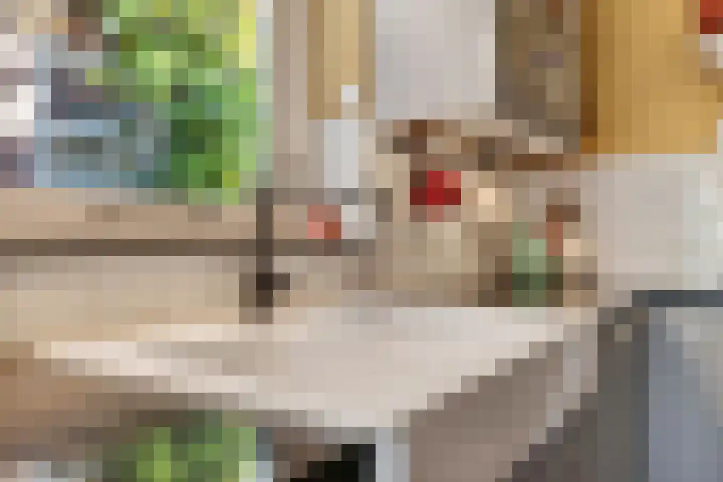Molenstraat 9 Stedum thumbnail 15