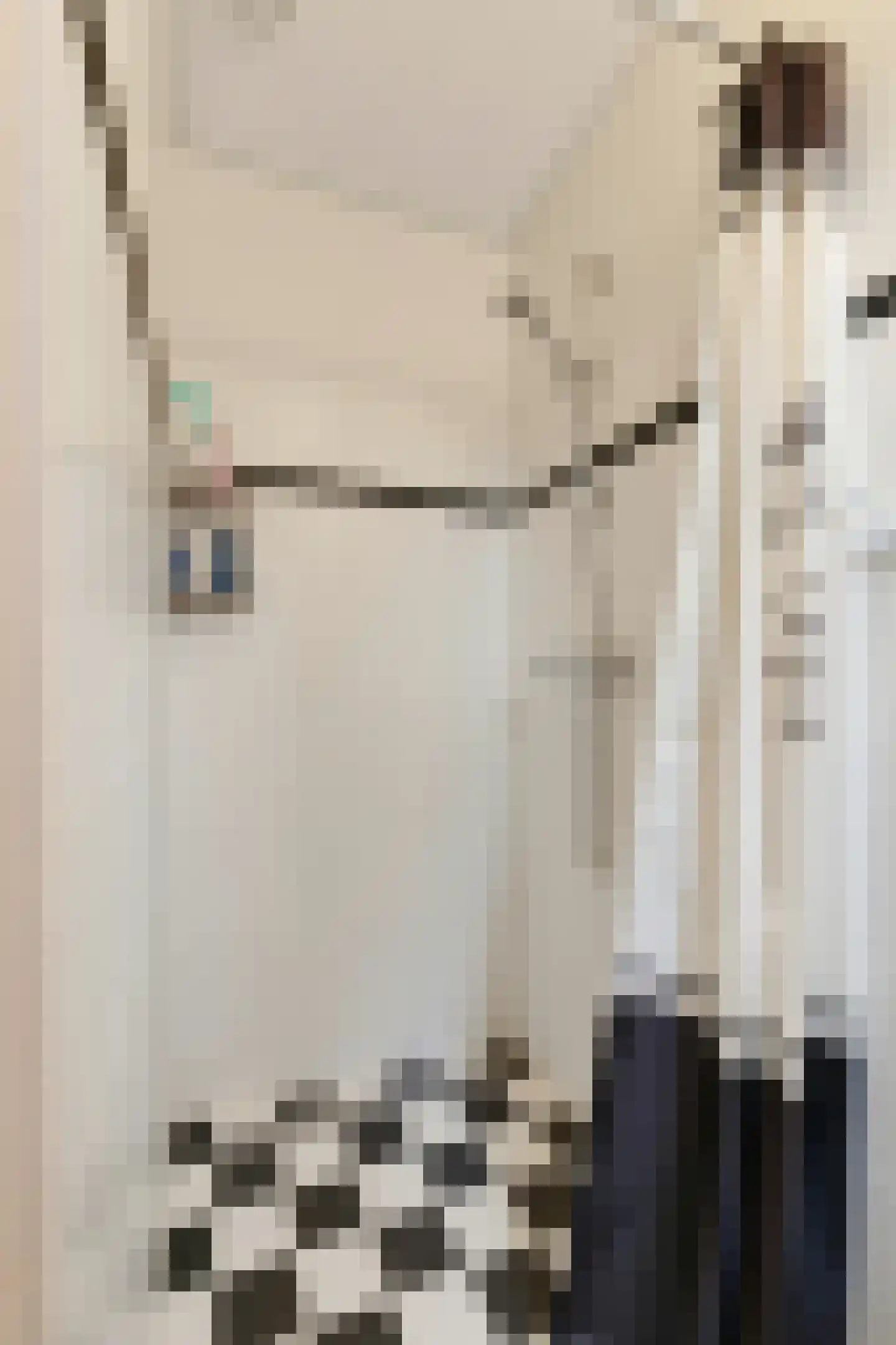 Molenstraat 9 Stedum thumbnail 21