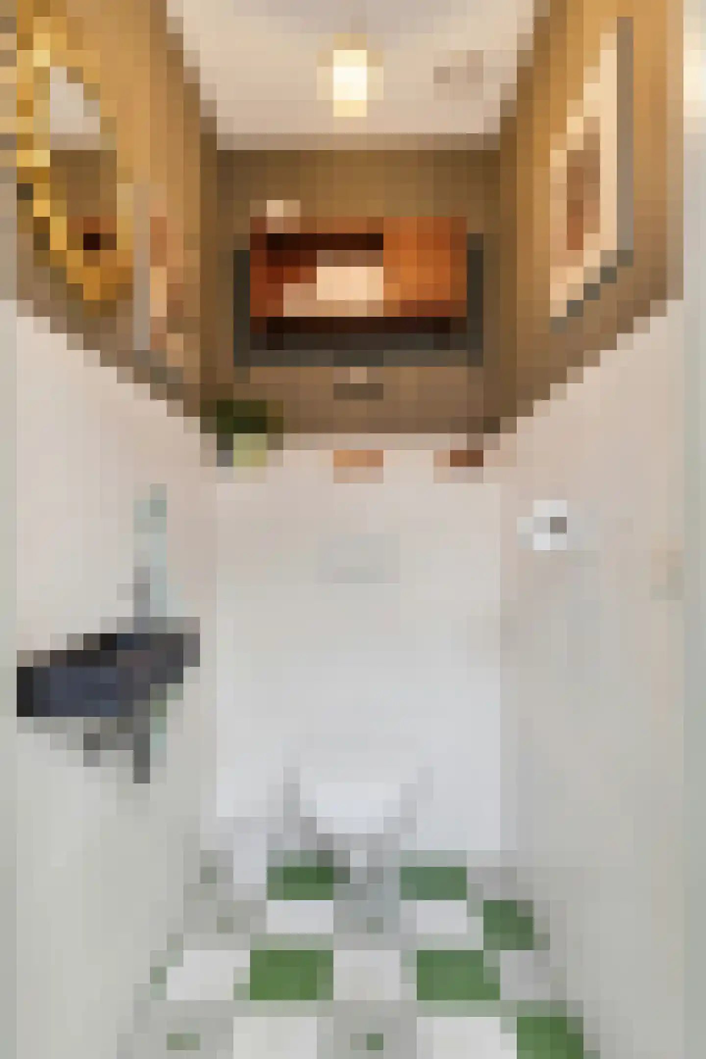 Molenstraat 9 Stedum thumbnail 25