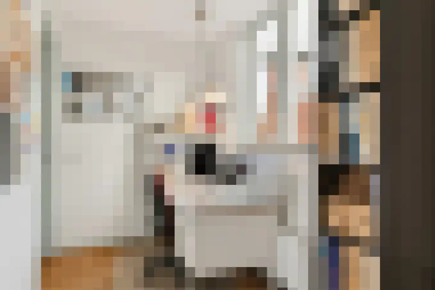 Molenstraat 9 Stedum thumbnail 29