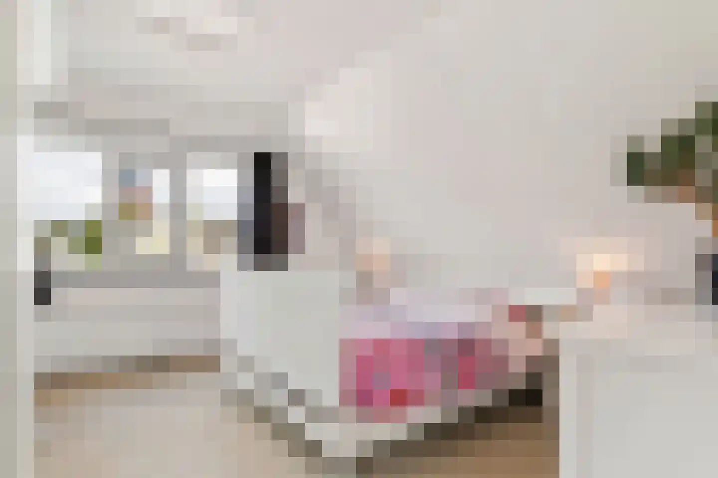 Molenstraat 9 Stedum thumbnail 30