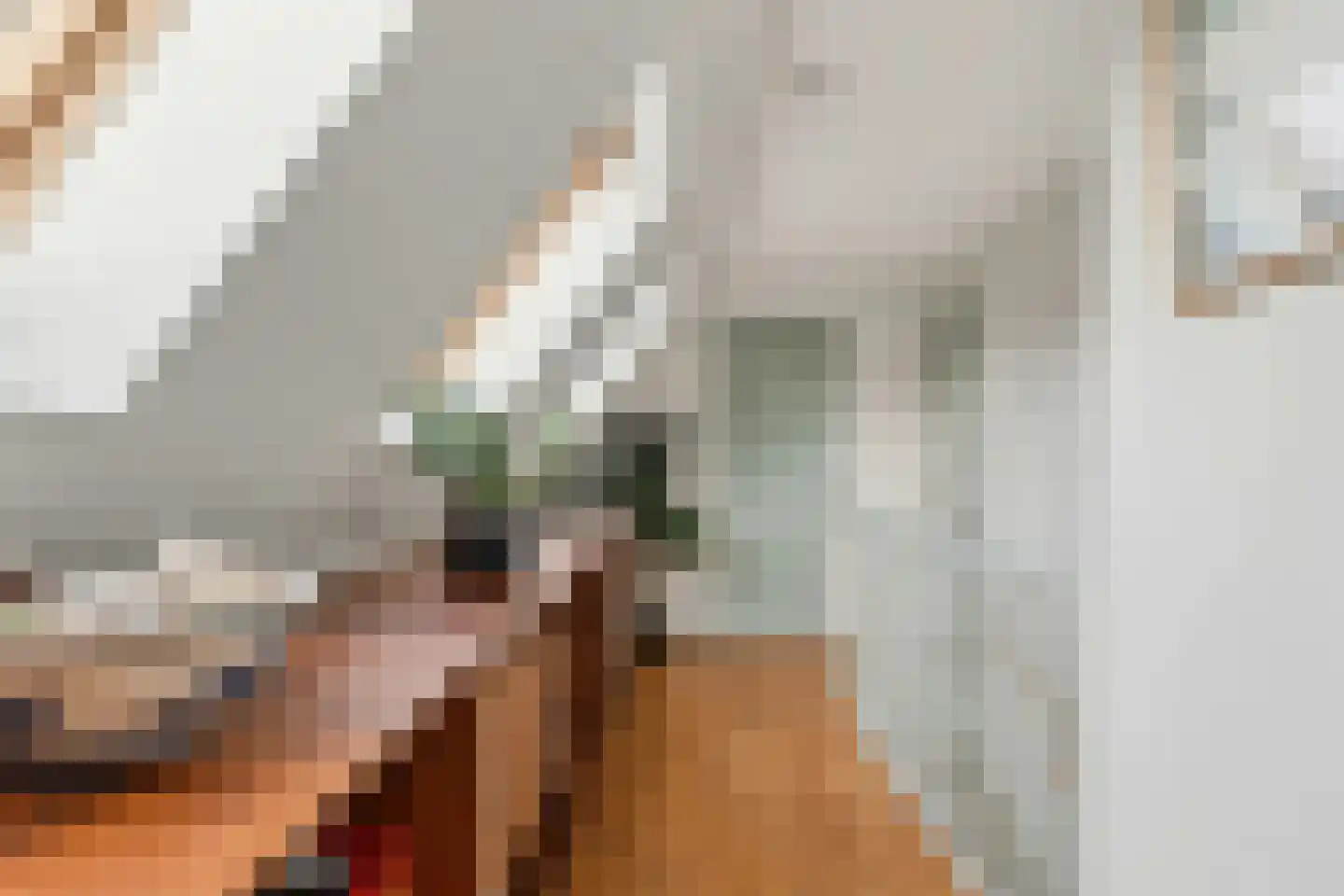 Molenstraat 9 Stedum thumbnail 37