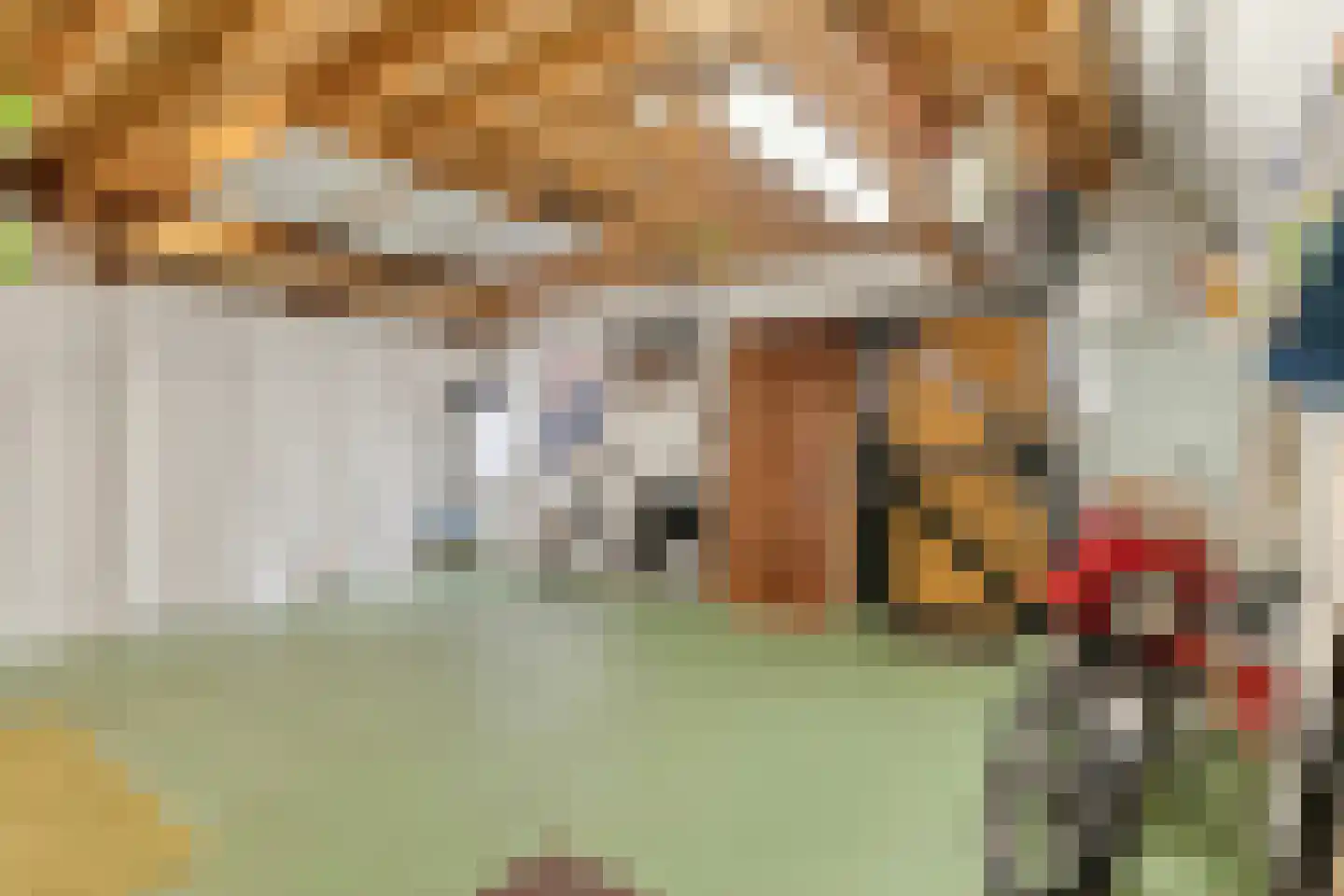 Molenstraat 9 Stedum thumbnail 38