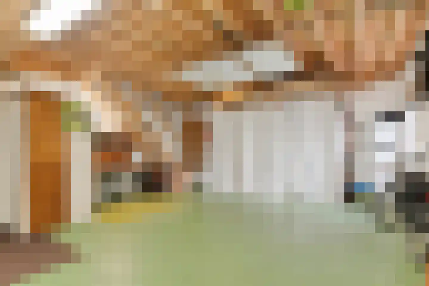 Molenstraat 9 Stedum thumbnail 39