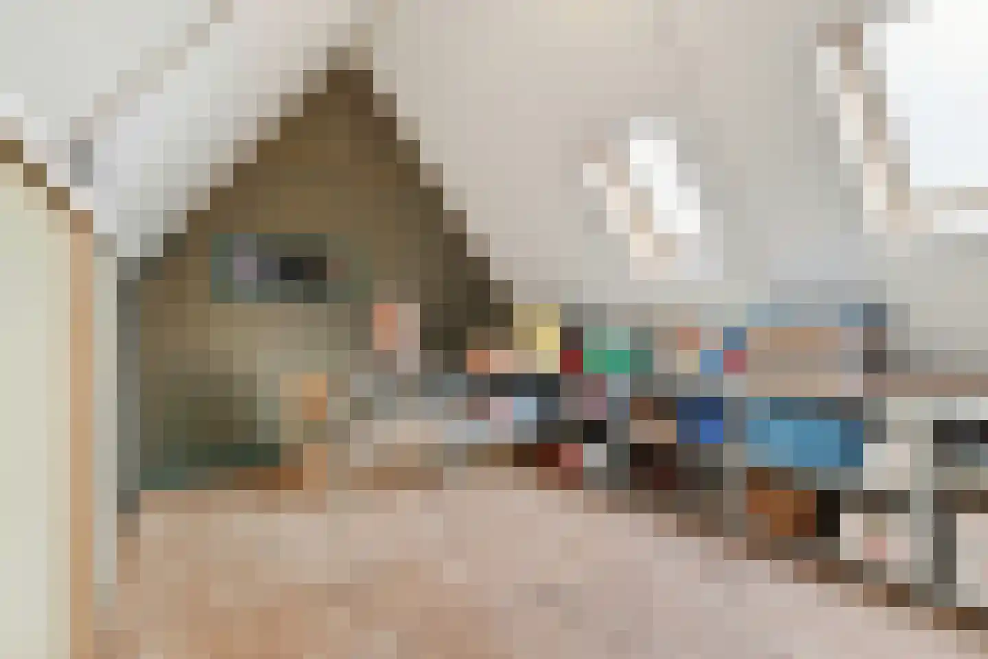 Molenstraat 9 Stedum thumbnail 41