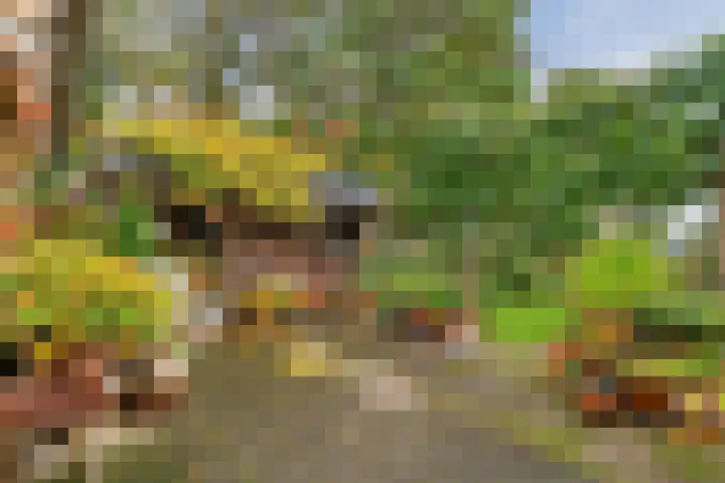 Molenstraat 9 Stedum thumbnail 46