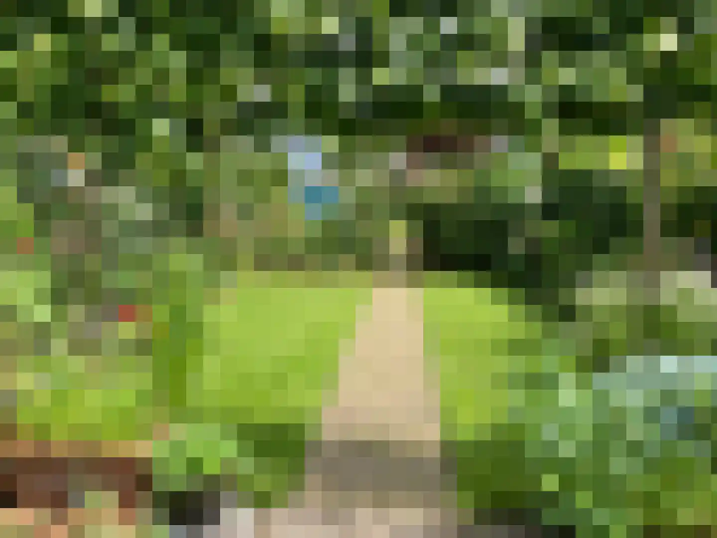 Molenstraat 9 Stedum thumbnail 48